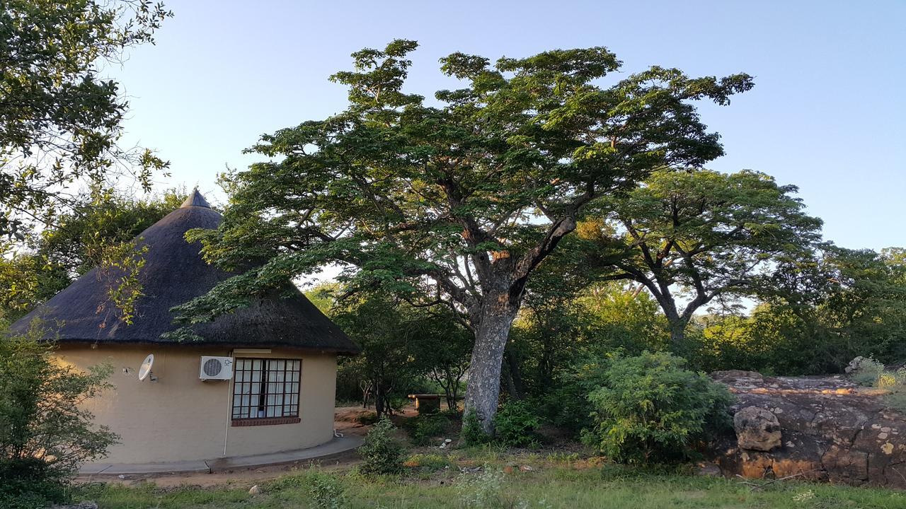 Awelani Lodge Masisi المظهر الخارجي الصورة