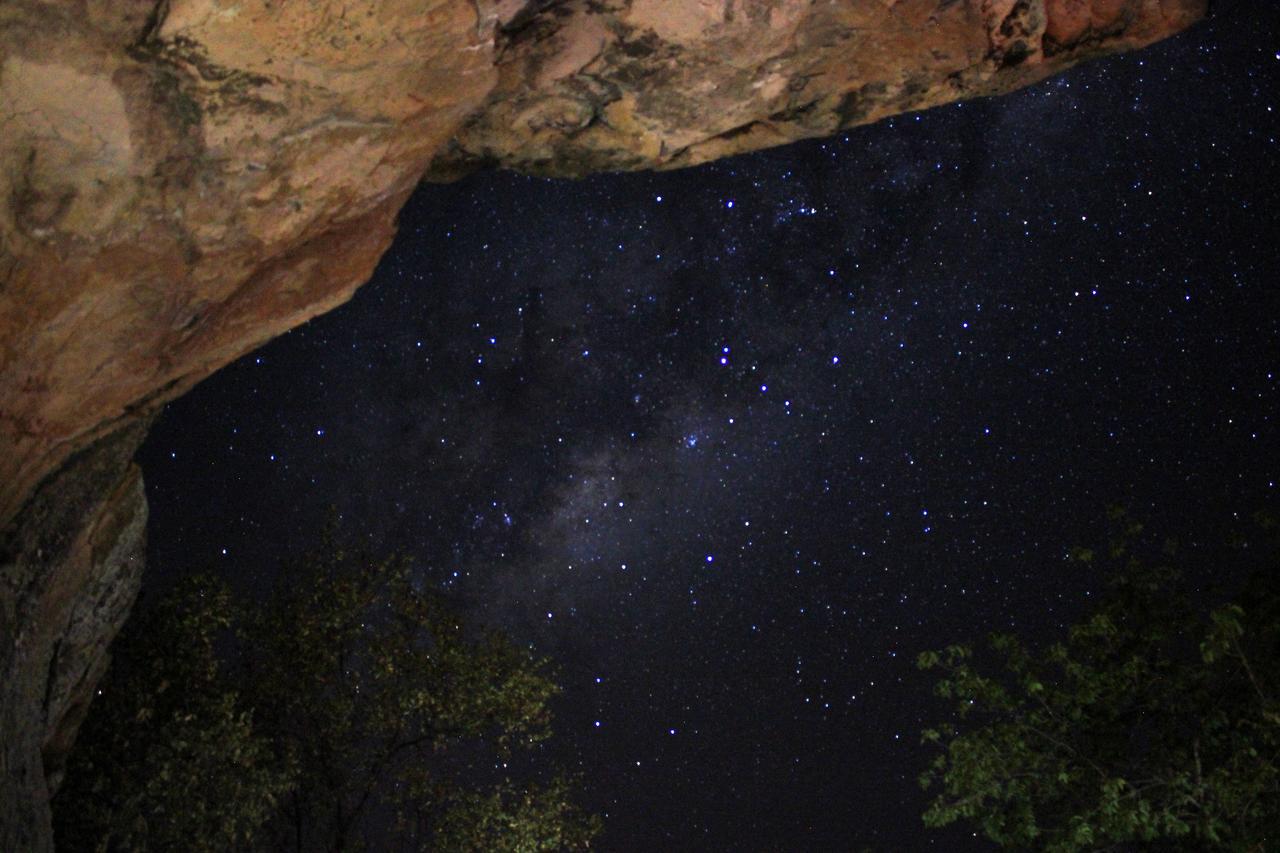 Awelani Lodge Masisi المظهر الخارجي الصورة