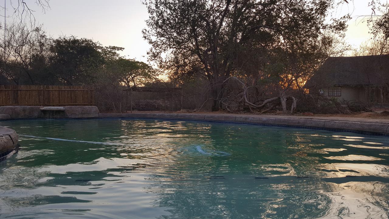 Awelani Lodge Masisi المظهر الخارجي الصورة