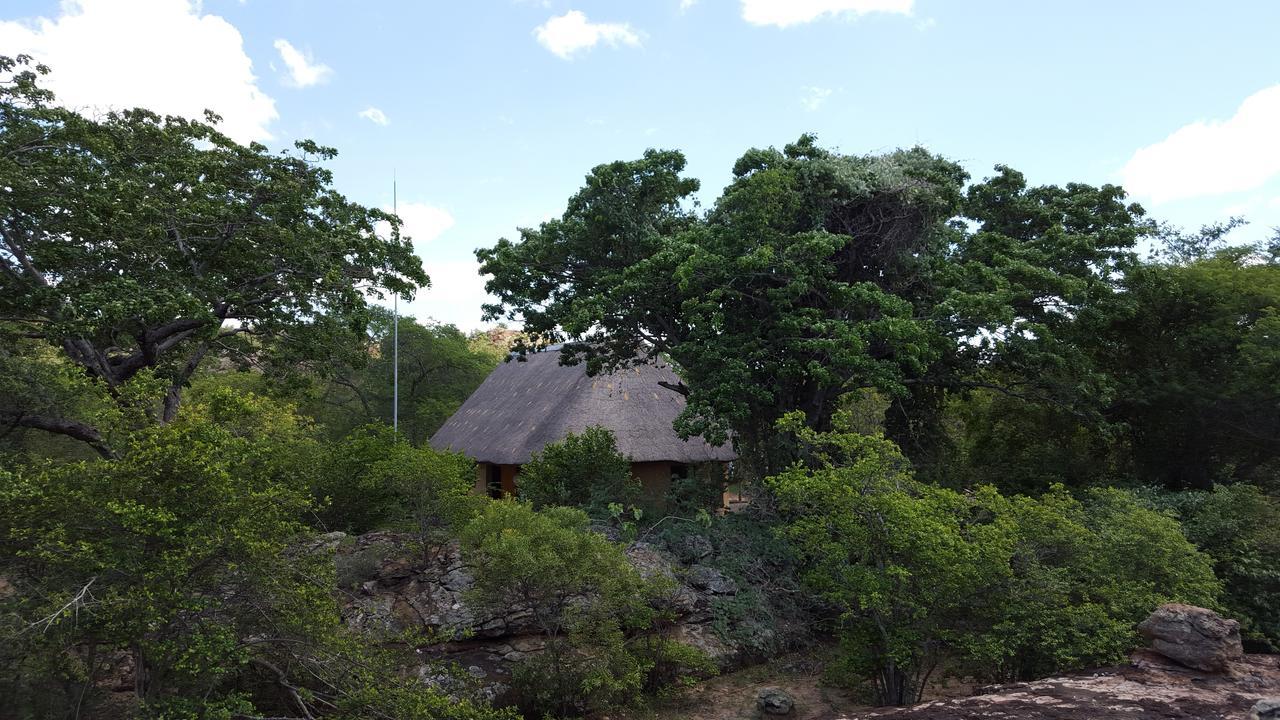 Awelani Lodge Masisi المظهر الخارجي الصورة