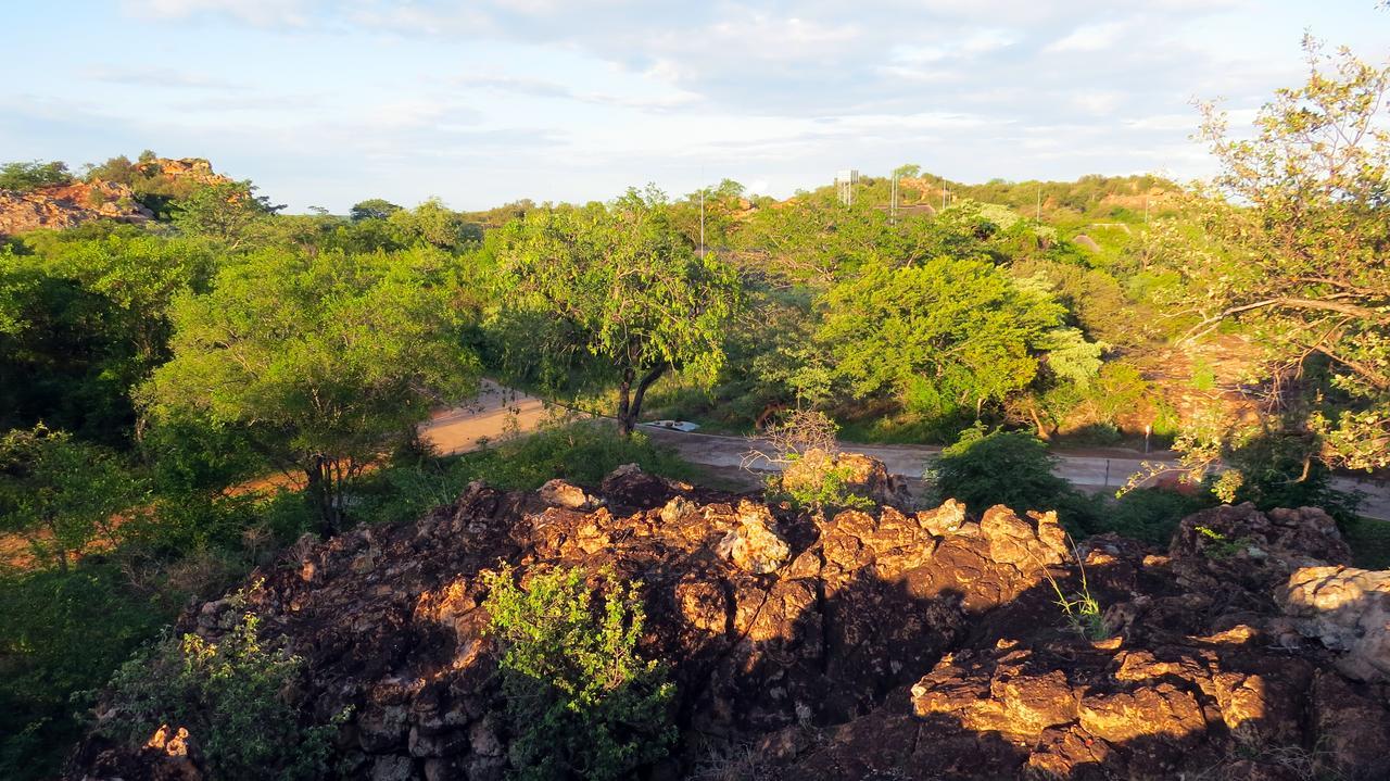 Awelani Lodge Masisi المظهر الخارجي الصورة