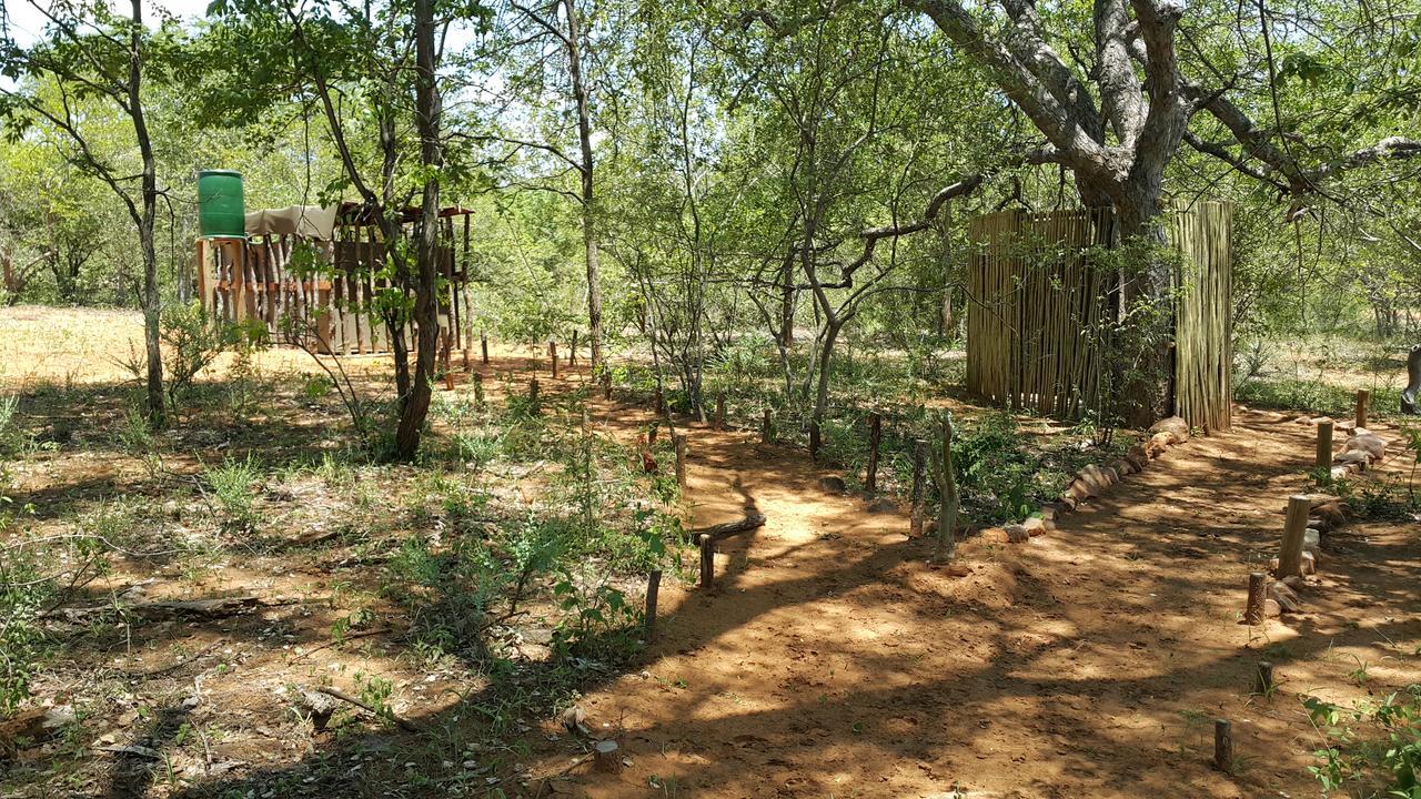 Awelani Lodge Masisi المظهر الخارجي الصورة