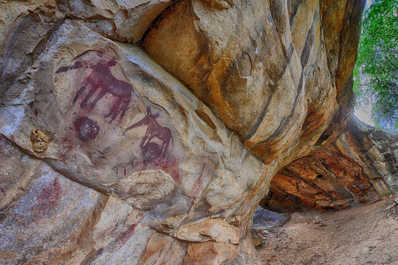 Awelani Lodge Masisi المظهر الخارجي الصورة