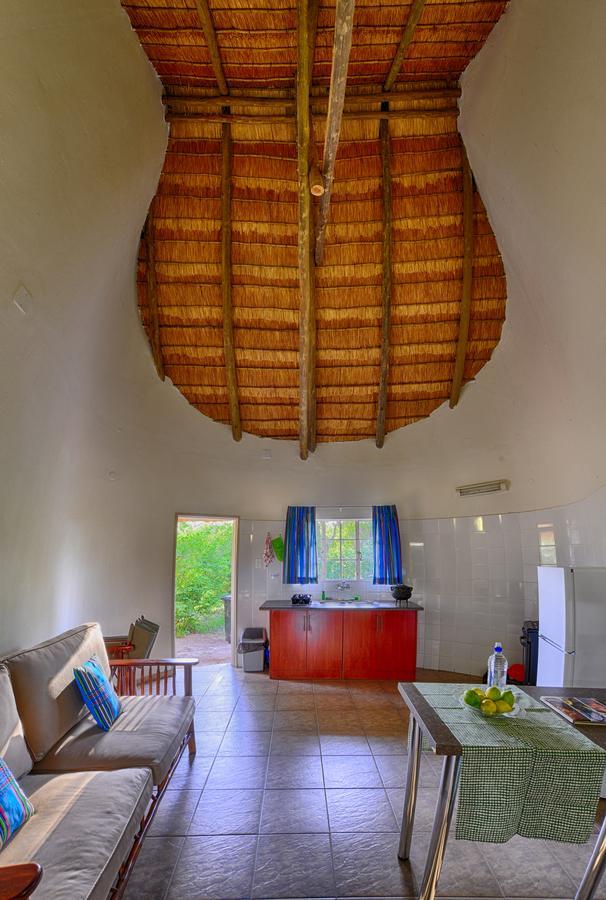 Awelani Lodge Masisi المظهر الخارجي الصورة