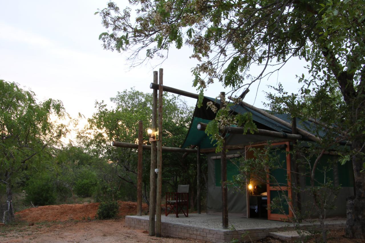 Awelani Lodge Masisi المظهر الخارجي الصورة