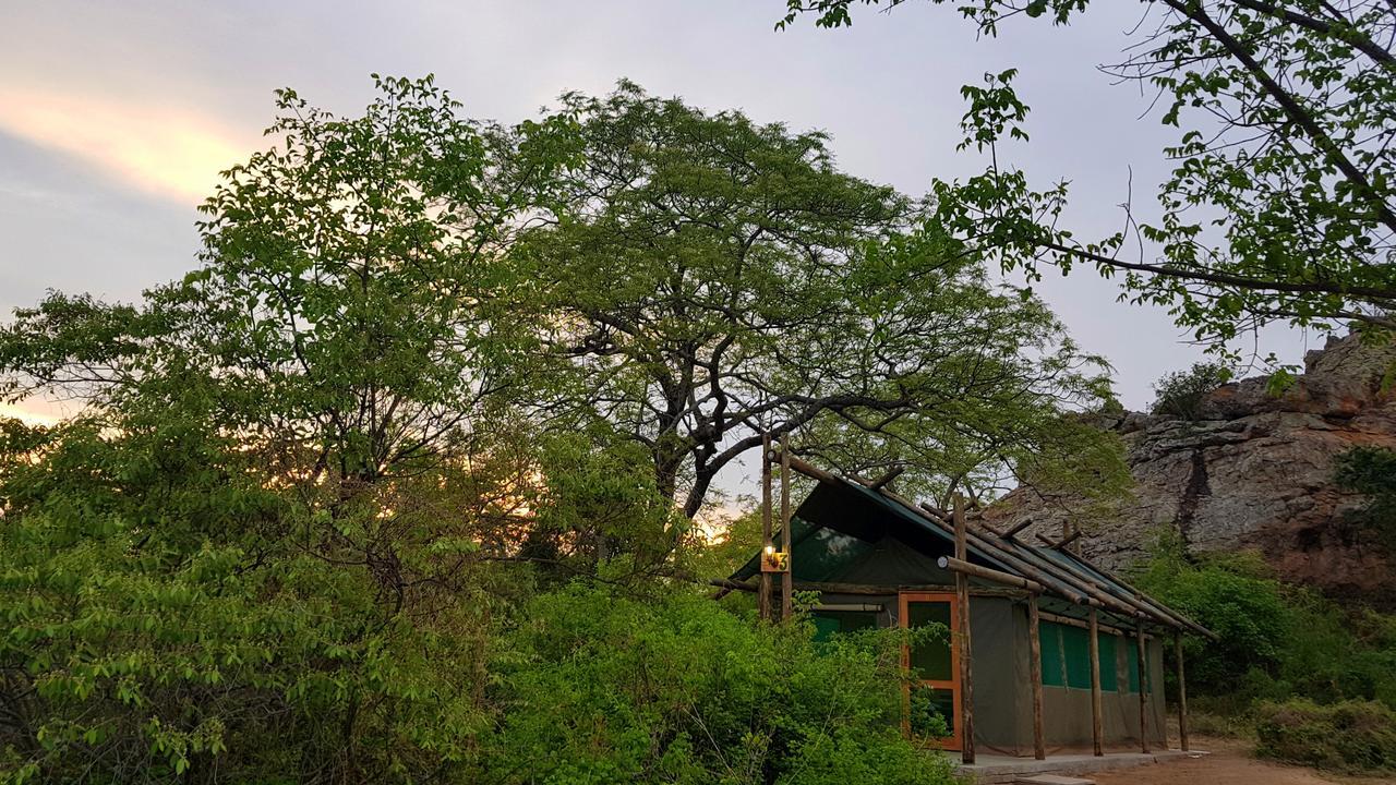 Awelani Lodge Masisi المظهر الخارجي الصورة